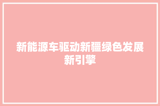 新能源车驱动新疆绿色发展新引擎