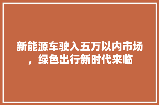新能源车驶入五万以内市场，绿色出行新时代来临