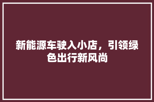 新能源车驶入小店，引领绿色出行新风尚