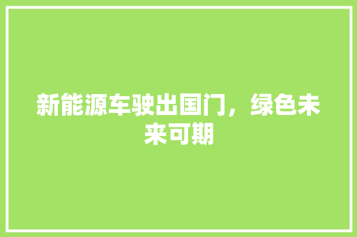 新能源车驶出国门，绿色未来可期