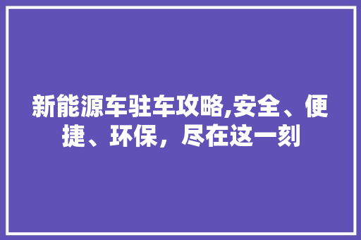新能源车驻车攻略,安全、便捷、环保，尽在这一刻