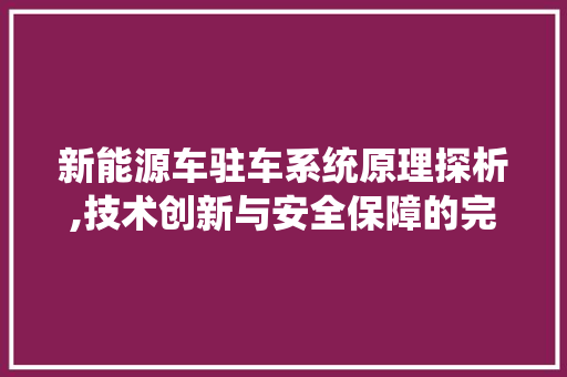 新能源车驻车系统原理探析,技术创新与安全保障的完美结合