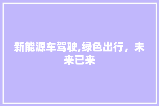 新能源车驾驶,绿色出行，未来已来