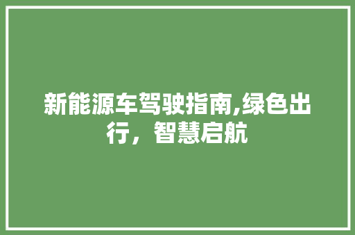 新能源车驾驶指南,绿色出行，智慧启航