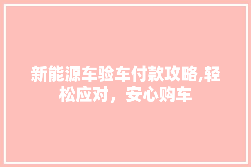 新能源车验车付款攻略,轻松应对，安心购车