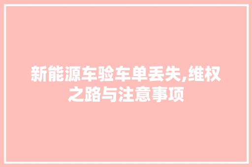 新能源车验车单丢失,维权之路与注意事项