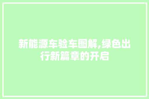 新能源车验车图解,绿色出行新篇章的开启