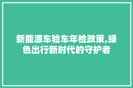 新能源车验车年检政策,绿色出行新时代的守护者