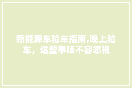 新能源车验车指南,晚上验车，这些事项不容忽视