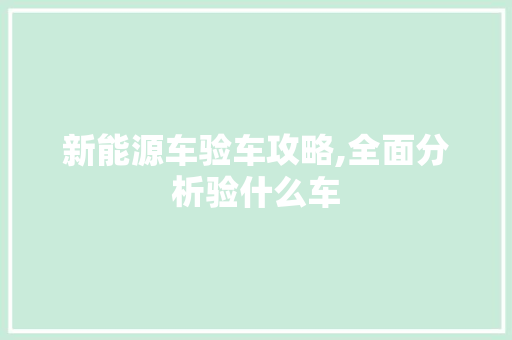 新能源车验车攻略,全面分析验什么车