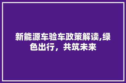 新能源车验车政策解读,绿色出行，共筑未来