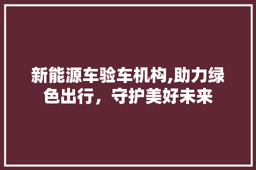 新能源车验车机构,助力绿色出行，守护美好未来