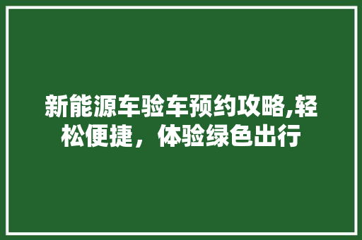 新能源车验车预约攻略,轻松便捷，体验绿色出行
