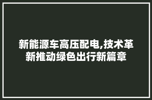 新能源车高压配电,技术革新推动绿色出行新篇章