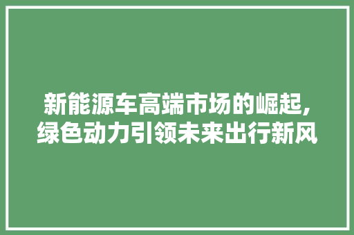 新能源车高端市场的崛起,绿色动力引领未来出行新风尚