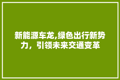 新能源车龙,绿色出行新势力，引领未来交通变革