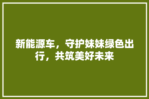 新能源车，守护妹妹绿色出行，共筑美好未来
