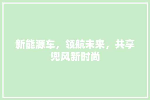 新能源车，领航未来，共享兜风新时尚