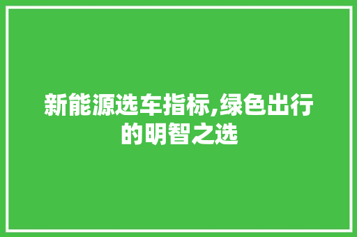 新能源选车指标,绿色出行的明智之选