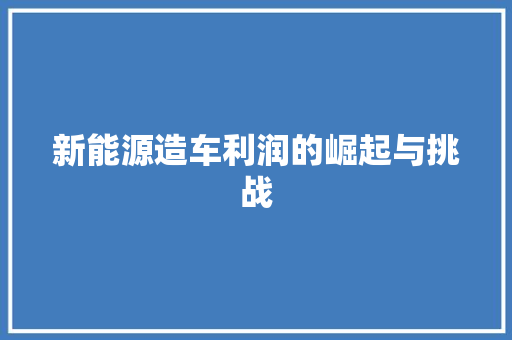 新能源造车利润的崛起与挑战