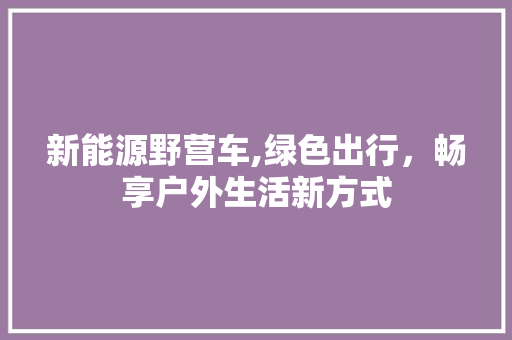 新能源野营车,绿色出行，畅享户外生活新方式
