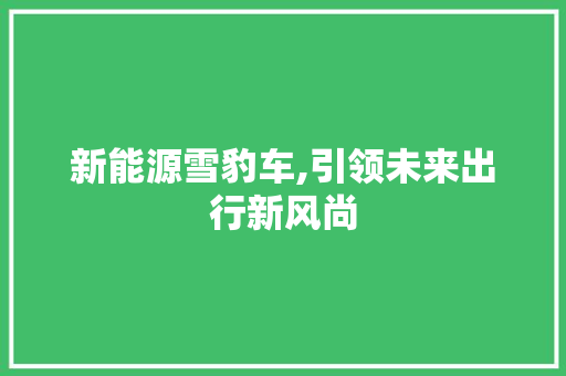 新能源雪豹车,引领未来出行新风尚