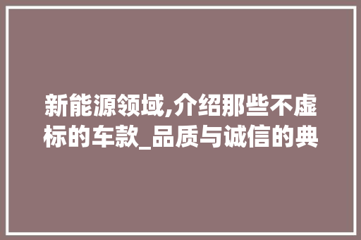 新能源领域,介绍那些不虚标的车款_品质与诚信的典范