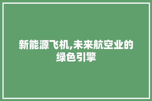 新能源飞机,未来航空业的绿色引擎