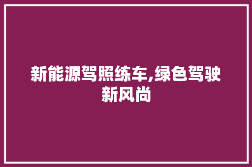 新能源驾照练车,绿色驾驶新风尚