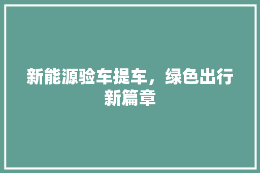 新能源验车提车，绿色出行新篇章