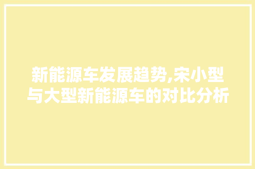 新能源车发展趋势,宋小型与大型新能源车的对比分析