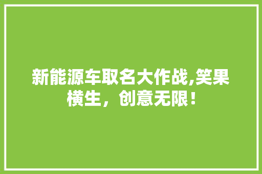 新能源车取名大作战,笑果横生，创意无限！