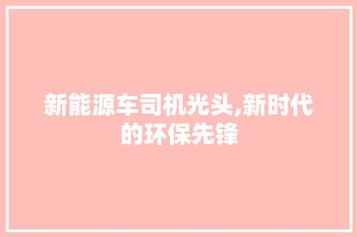 新能源车司机光头,新时代的环保先锋
