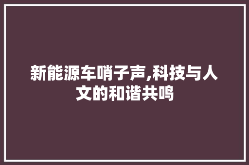 新能源车哨子声,科技与人文的和谐共鸣