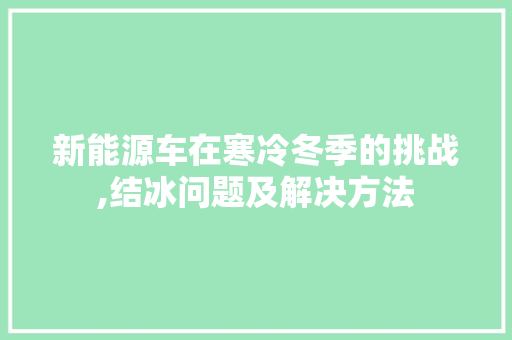 新能源车在寒冷冬季的挑战,结冰问题及解决方法 车灯配件