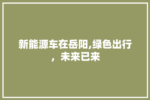 新能源车在岳阳,绿色出行，未来已来 变速箱配件