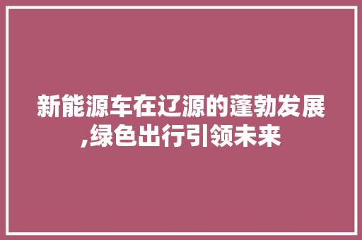 新能源车在辽源的蓬勃发展,绿色出行引领未来