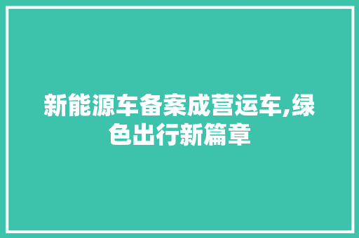新能源车备案成营运车,绿色出行新篇章