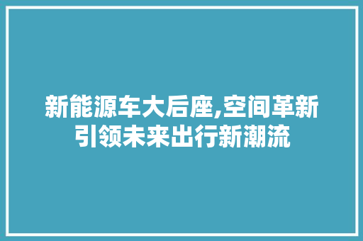 新能源车大后座,空间革新引领未来出行新潮流