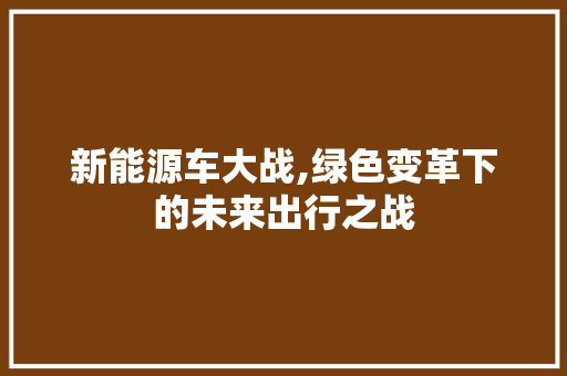 新能源车大战,绿色变革下的未来出行之战