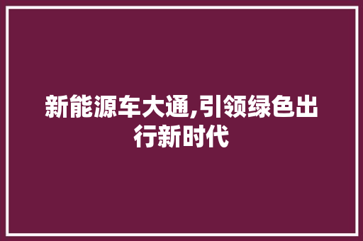 新能源车大通,引领绿色出行新时代
