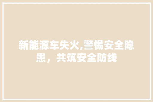 新能源车失火,警惕安全隐患，共筑安全防线