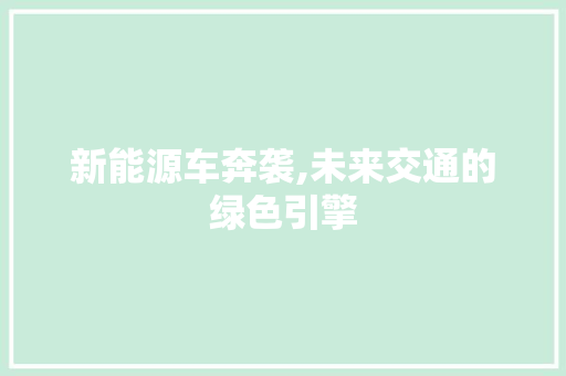 新能源车奔袭,未来交通的绿色引擎