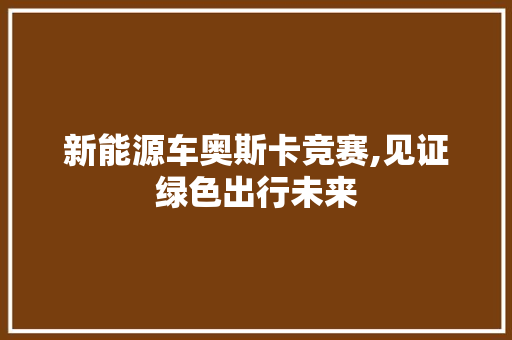 新能源车奥斯卡竞赛,见证绿色出行未来