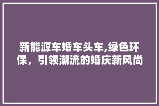 新能源车婚车头车,绿色环保，引领潮流的婚庆新风尚