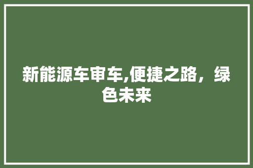 新能源车审车,便捷之路，绿色未来
