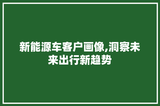 新能源车客户画像,洞察未来出行新趋势