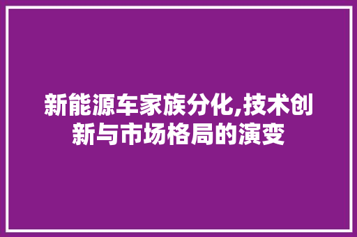 新能源车家族分化,技术创新与市场格局的演变