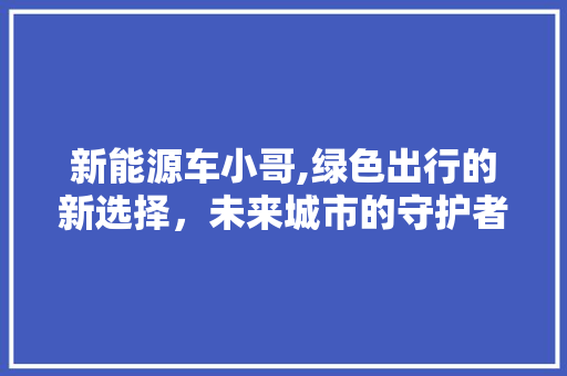 新能源车小哥,绿色出行的新选择，未来城市的守护者
