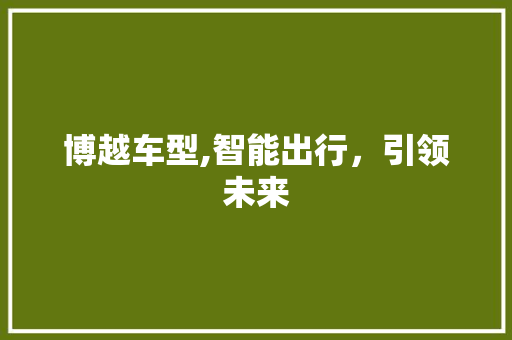 博越车型,智能出行，引领未来